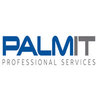 palm IT services